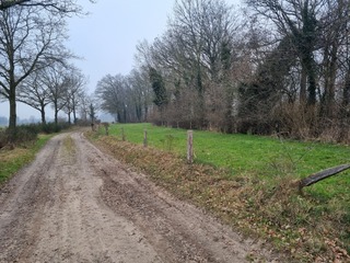Beuningen - nabij Matenweg en Holsterheurneweg